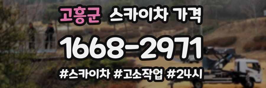 고흥군 스카이차 가격