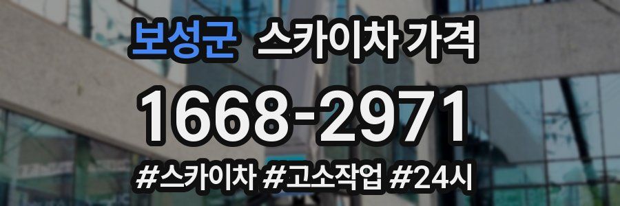 보성군 스카이차 가격