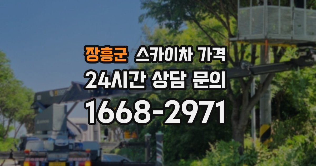 장흥군 스카이차 가격