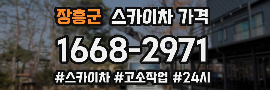 장흥군 스카이차 가격