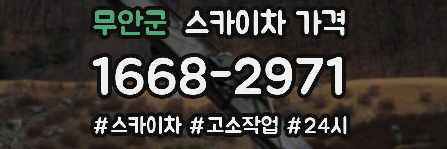 무안군 스카이차 가격