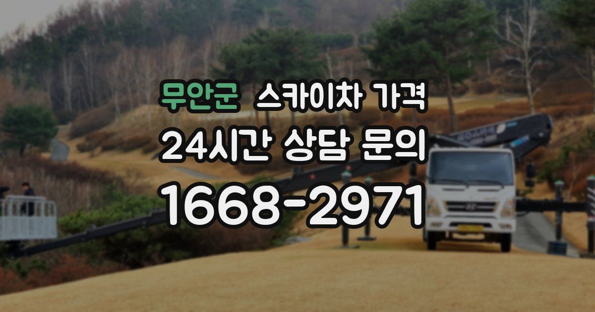 무안군 스카이차 가격