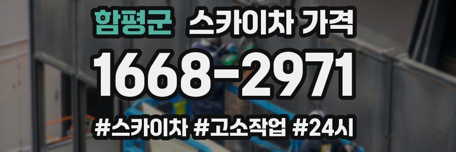 함평군 스카이차 가격