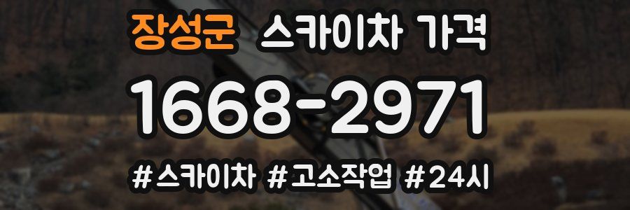 장성군 스카이차 가격