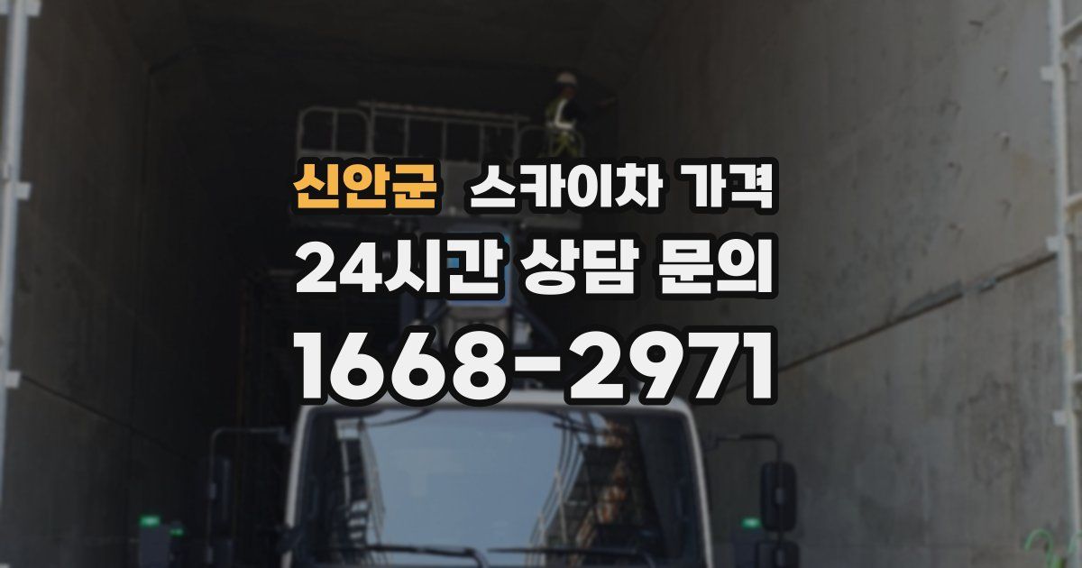 신안군 스카이차 가격