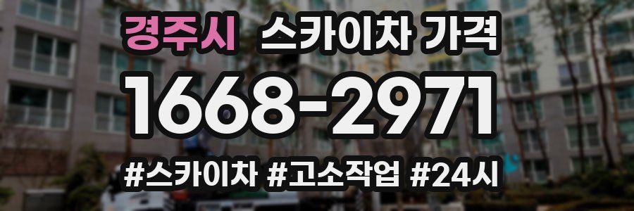 경주시 스카이차 가격