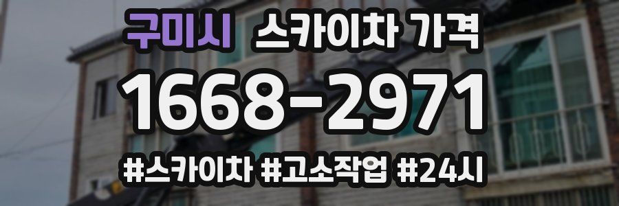 구미시 스카이차 가격