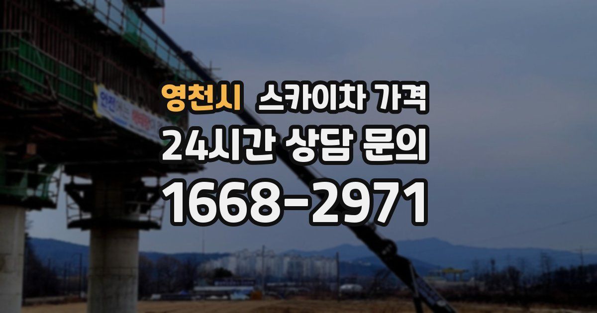 영천시 스카이차 가격