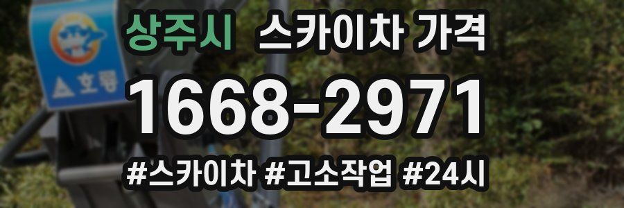 상주시 스카이차 가격