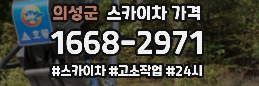 의성군 스카이차 가격