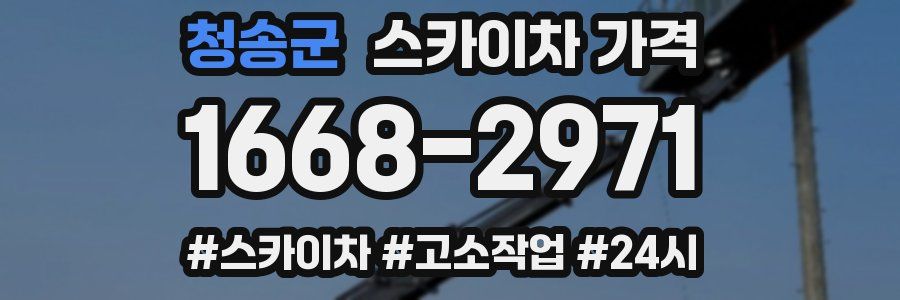 청송군 스카이차 가격