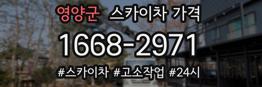 영양군 스카이차 가격