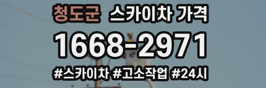 청도군 스카이차 가격