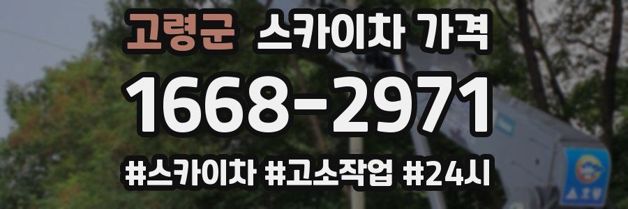 고령군 스카이차 가격