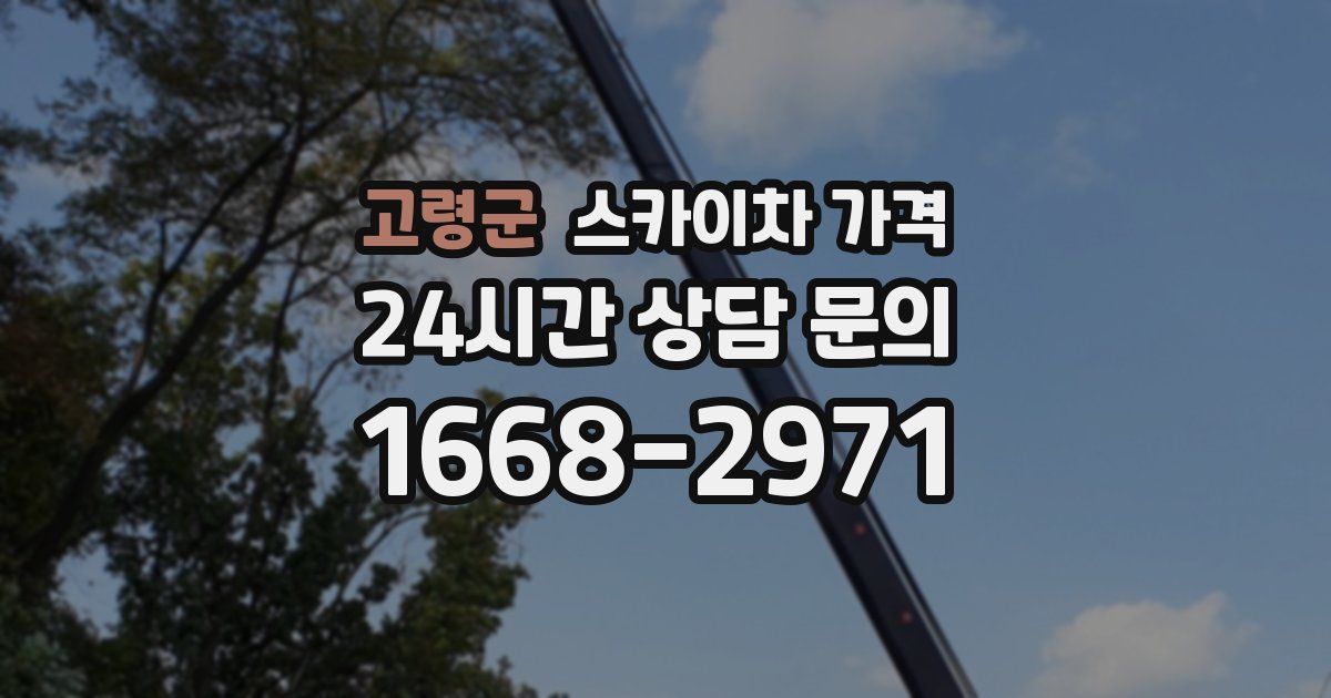 고령군 스카이차 가격