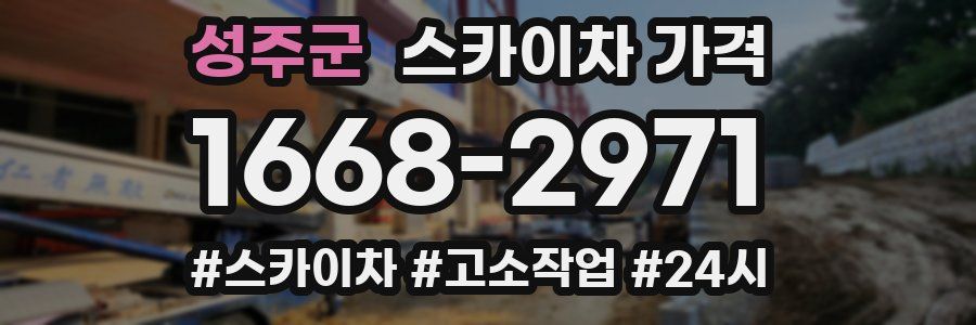 성주군 스카이차 가격