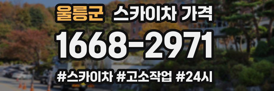 울릉군 스카이차 가격