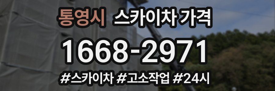 통영시 스카이차 가격