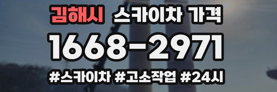 김해시 스카이차 가격