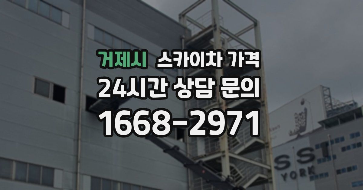 거제시 스카이차 가격