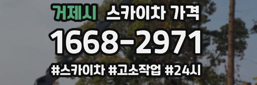 거제시 스카이차 가격