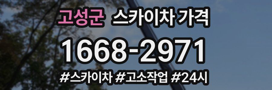 고성군 스카이차 가격