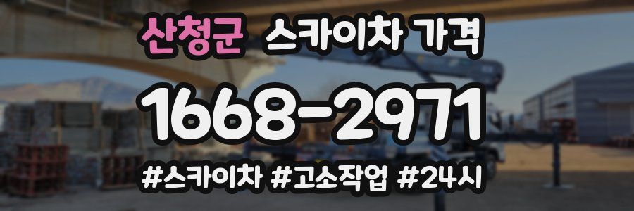 산청군 스카이차 가격