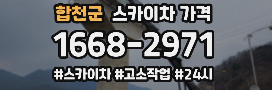 합천군 스카이차 가격