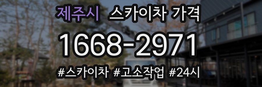 제주시 스카이차 가격