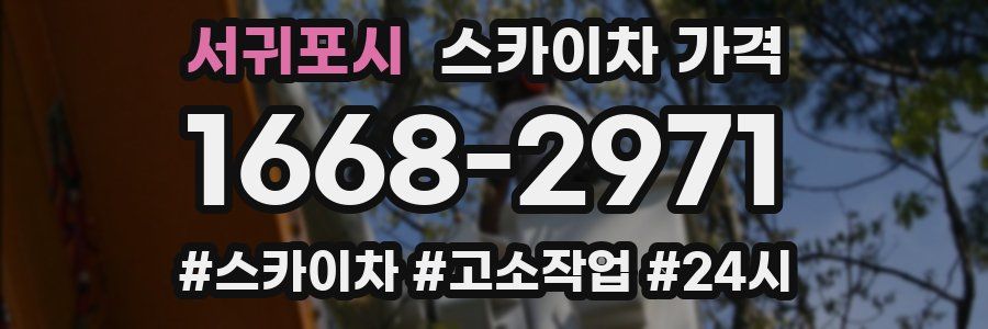 서귀포시 스카이차 가격