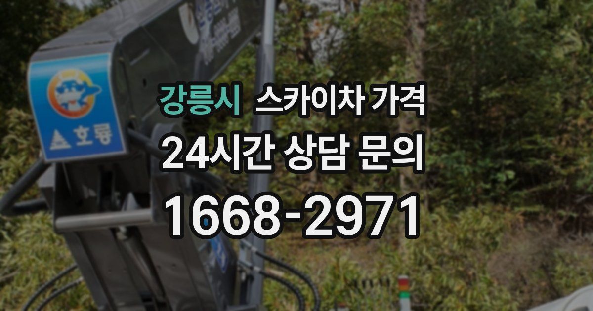 강릉시 스카이차 가격