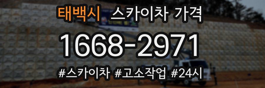 태백시 스카이차 가격