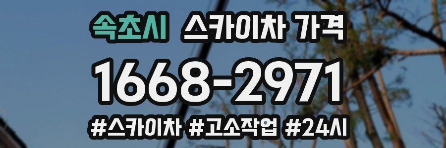 속초시 스카이차 가격