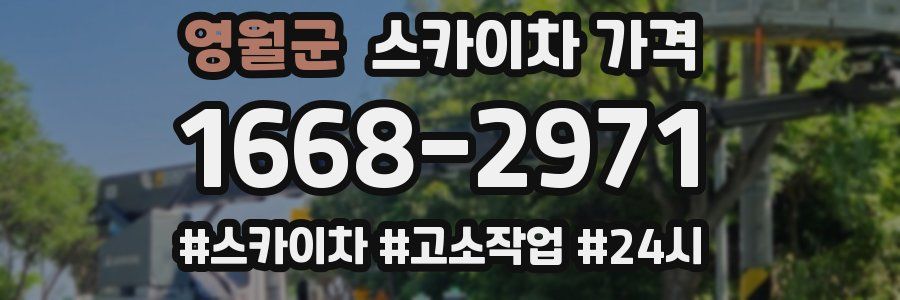 영월군 스카이차 가격