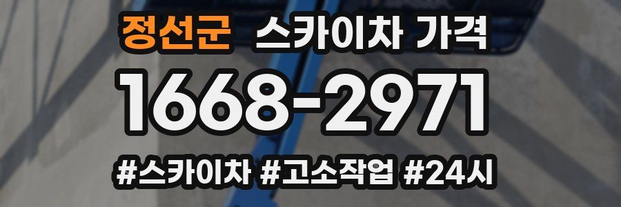 정선군 스카이차 가격