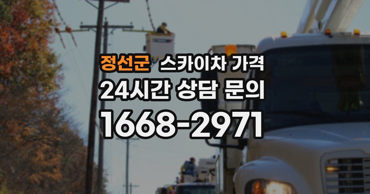 정선군 스카이차 가격