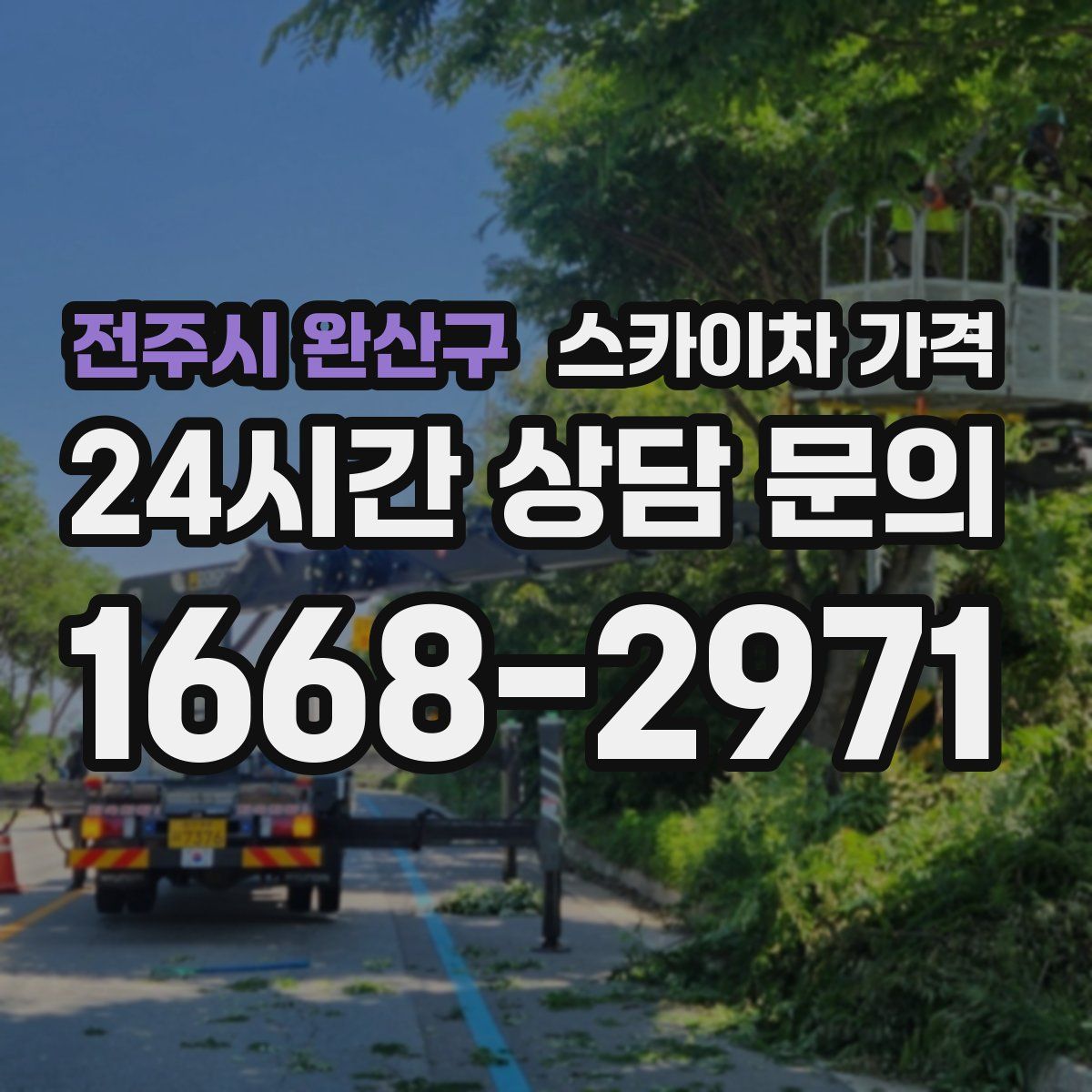 전주시 완산구 스카이차 가격