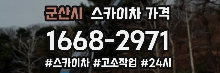 군산시 스카이차 가격