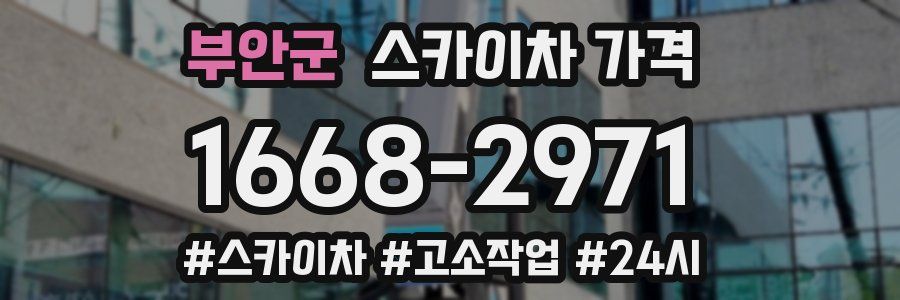 부안군 스카이차 가격