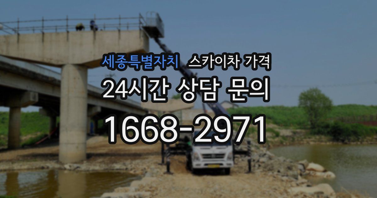 세종특별자치 스카이차 가격