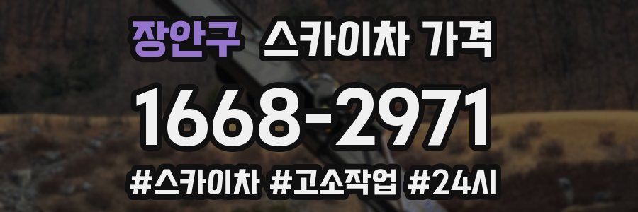 장안구 스카이차 가격