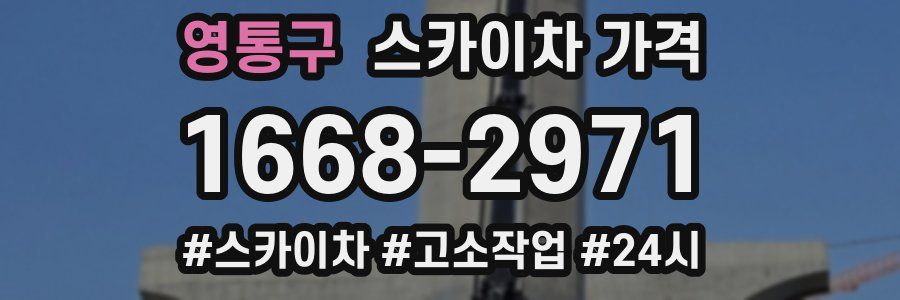 영통구 스카이차 가격