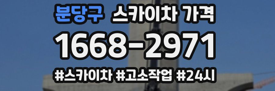 분당구 스카이차 가격