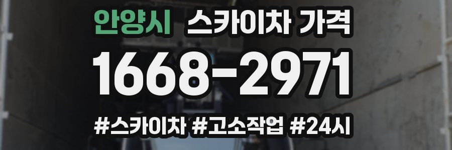 안양시 스카이차 가격