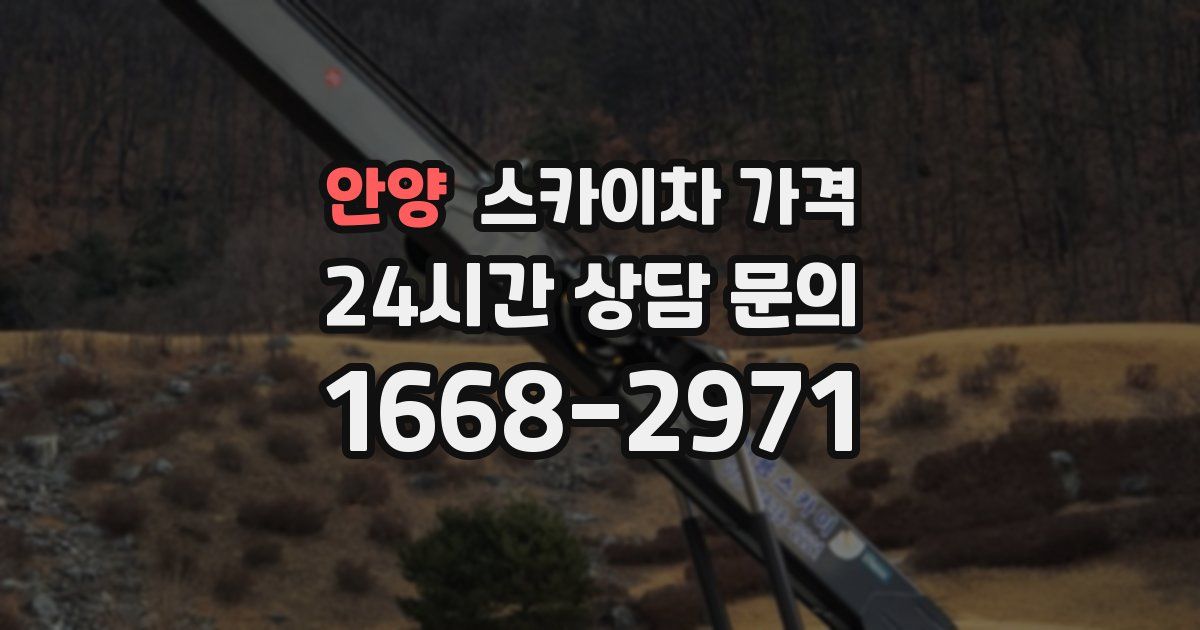 안양 스카이차 가격