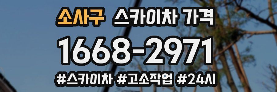 소사구 스카이차 가격