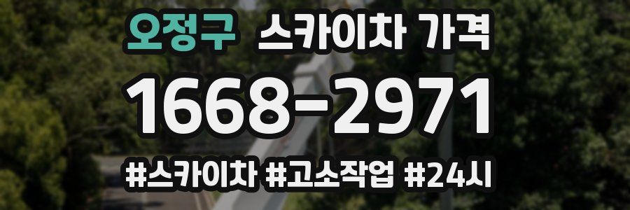 오정구 스카이차 가격