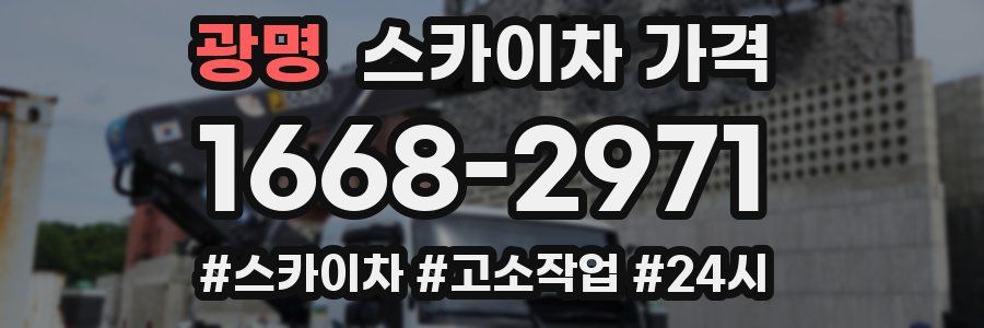 광명 스카이차 가격