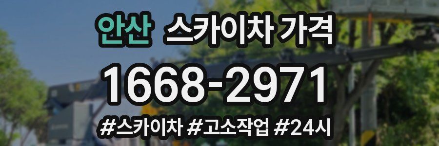 안산 스카이차 가격