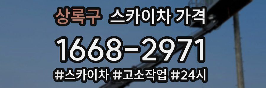 상록구 스카이차 가격